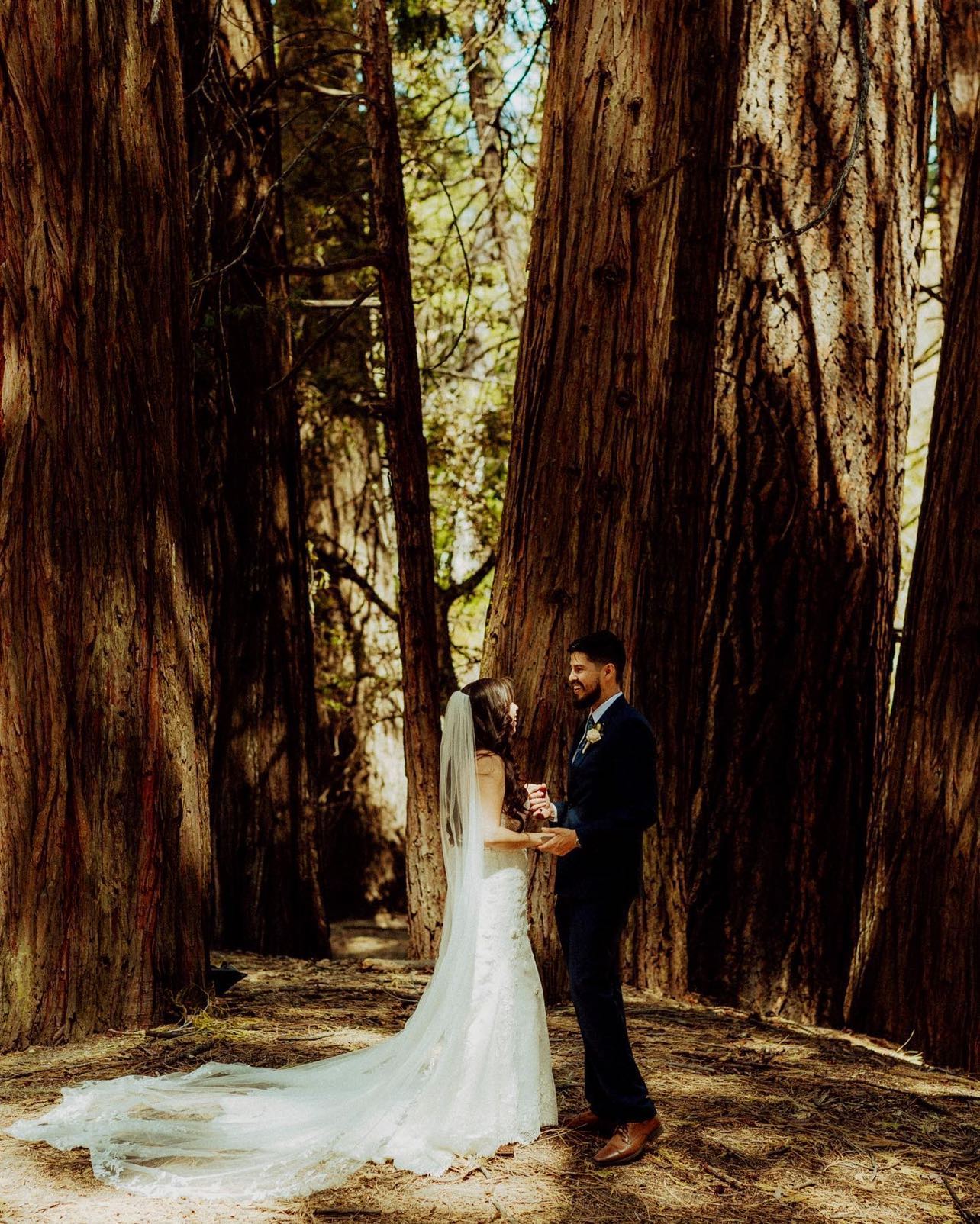 couple photo in front of a big tree wearing weeding dress