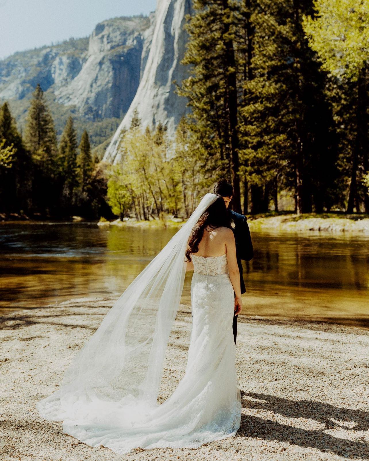 weeding photograph - 8