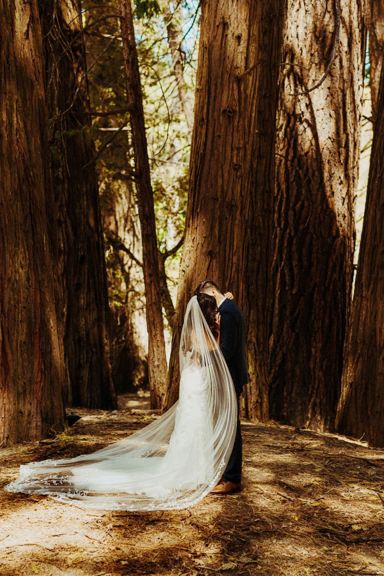 A bride and groom kissing in the woods