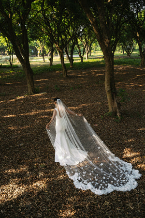 Wedding Veil Glossary: 40 Terms Every Bride Should Know