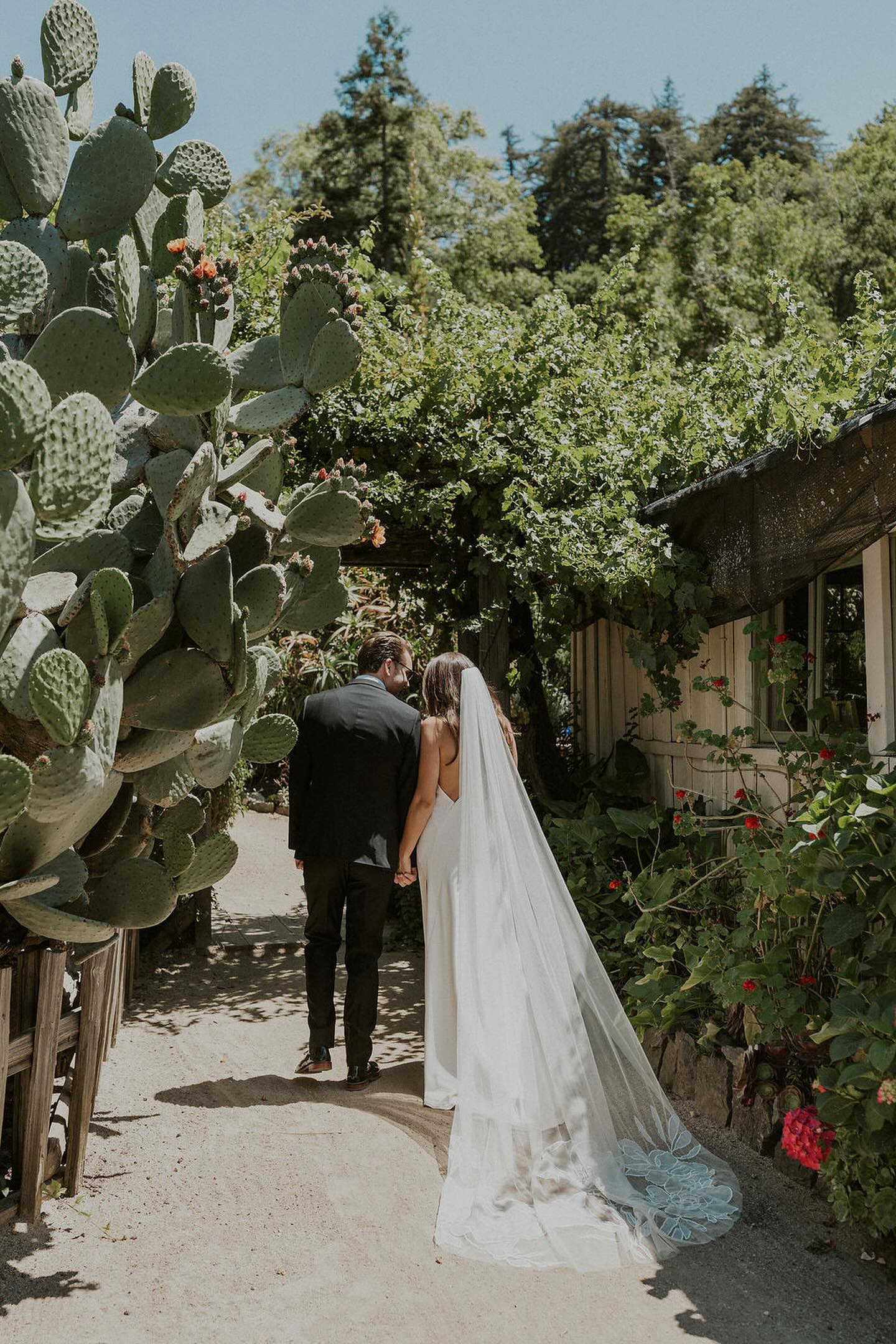 Couple walking hand in hand in a garden with cacti and greenery.