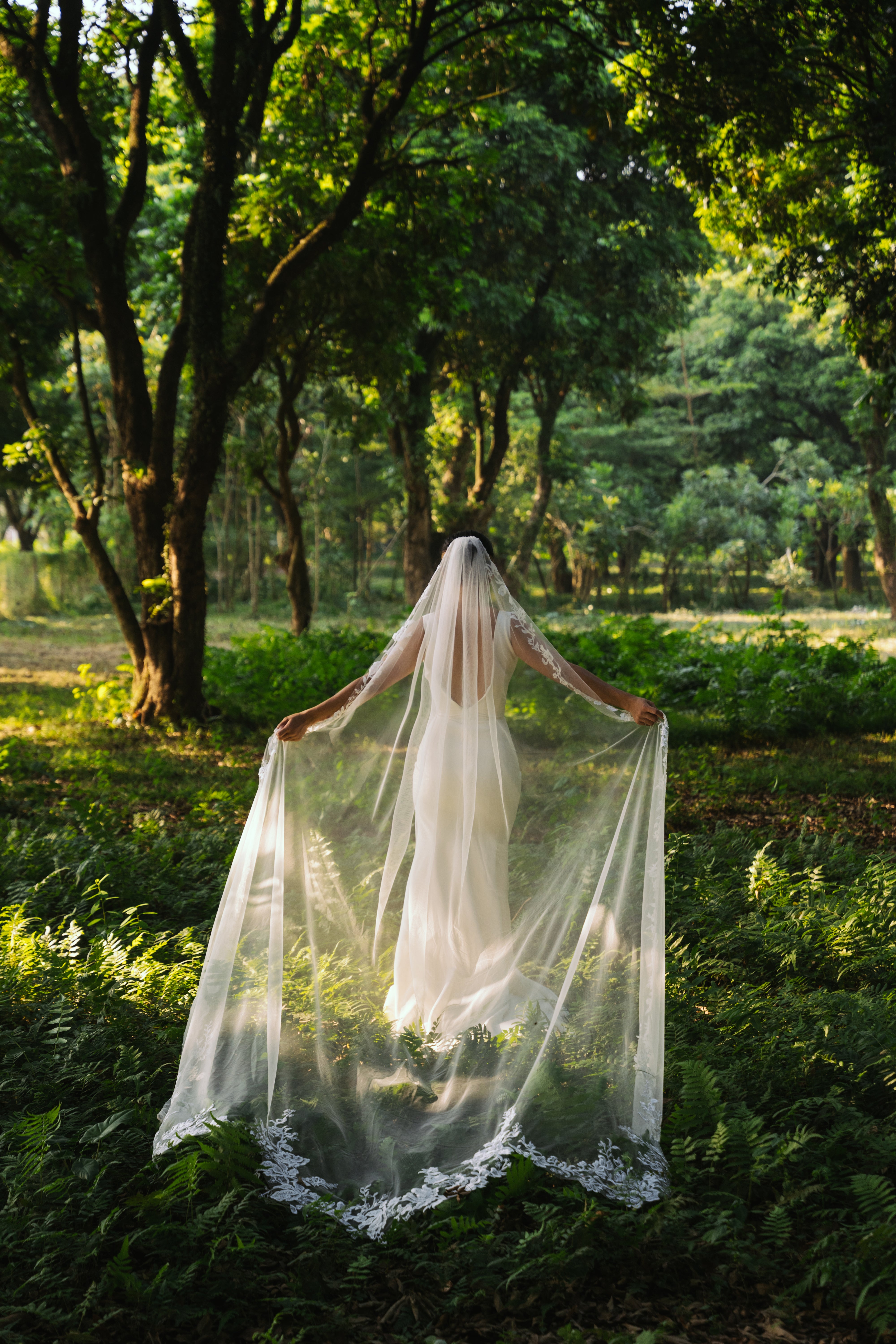 ELA lace embroidery cathedral scallop-shaped wedding veil, bride walking in a sunny rain forest