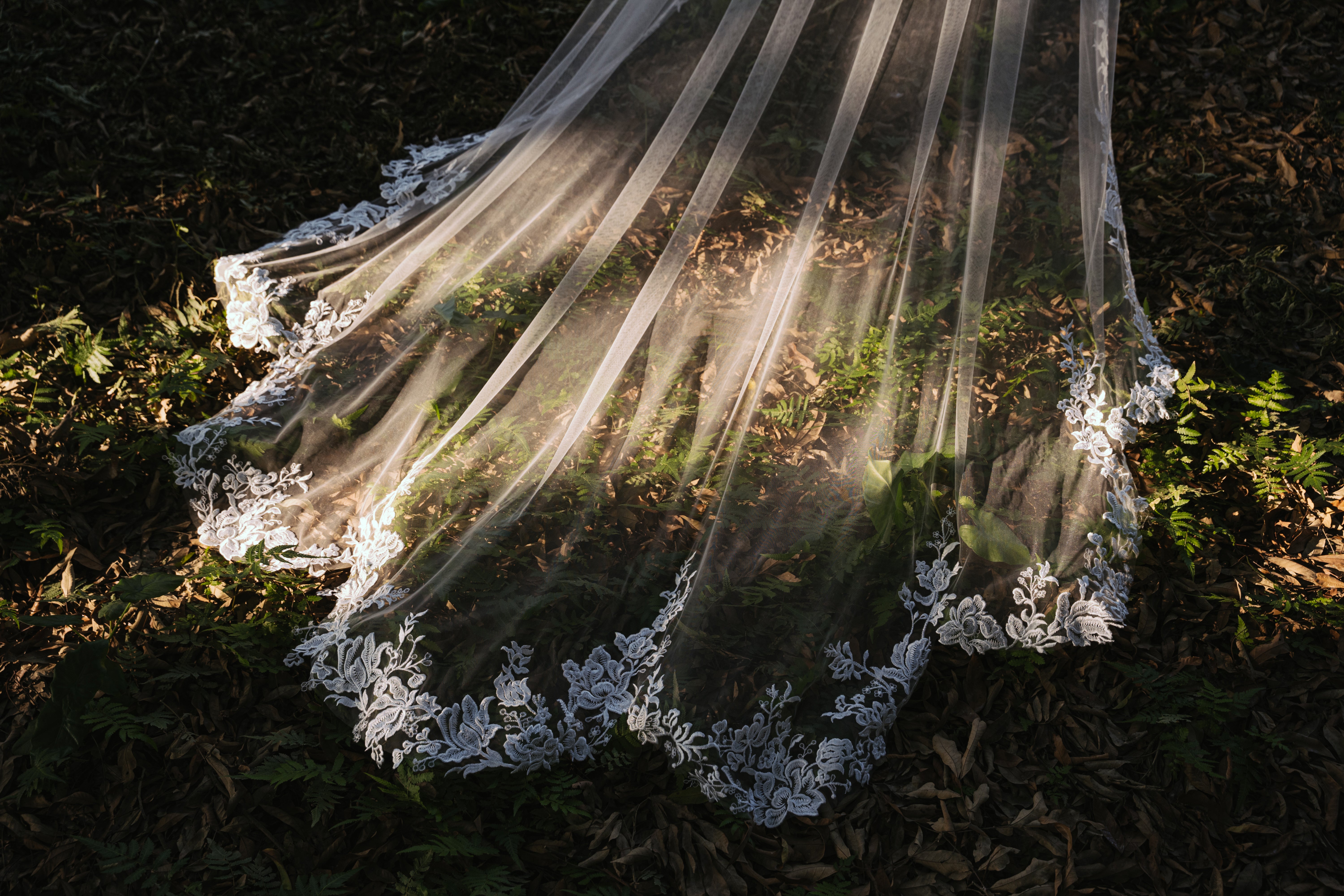 ELA lace embroidery cathedral scallop-shaped wedding veil, in a sunny rain forest