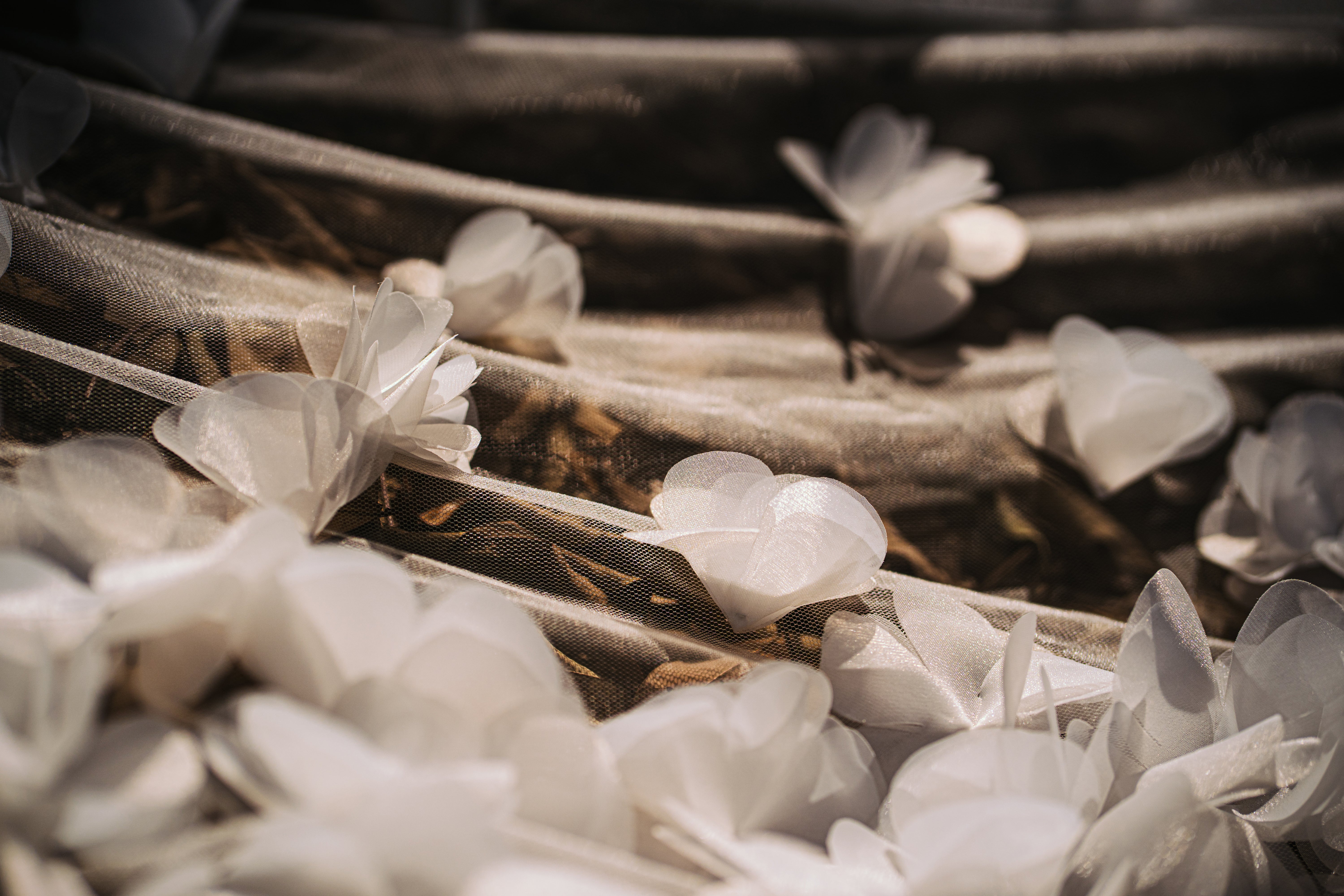 BELLA | 3D Floral Wedding Veil
